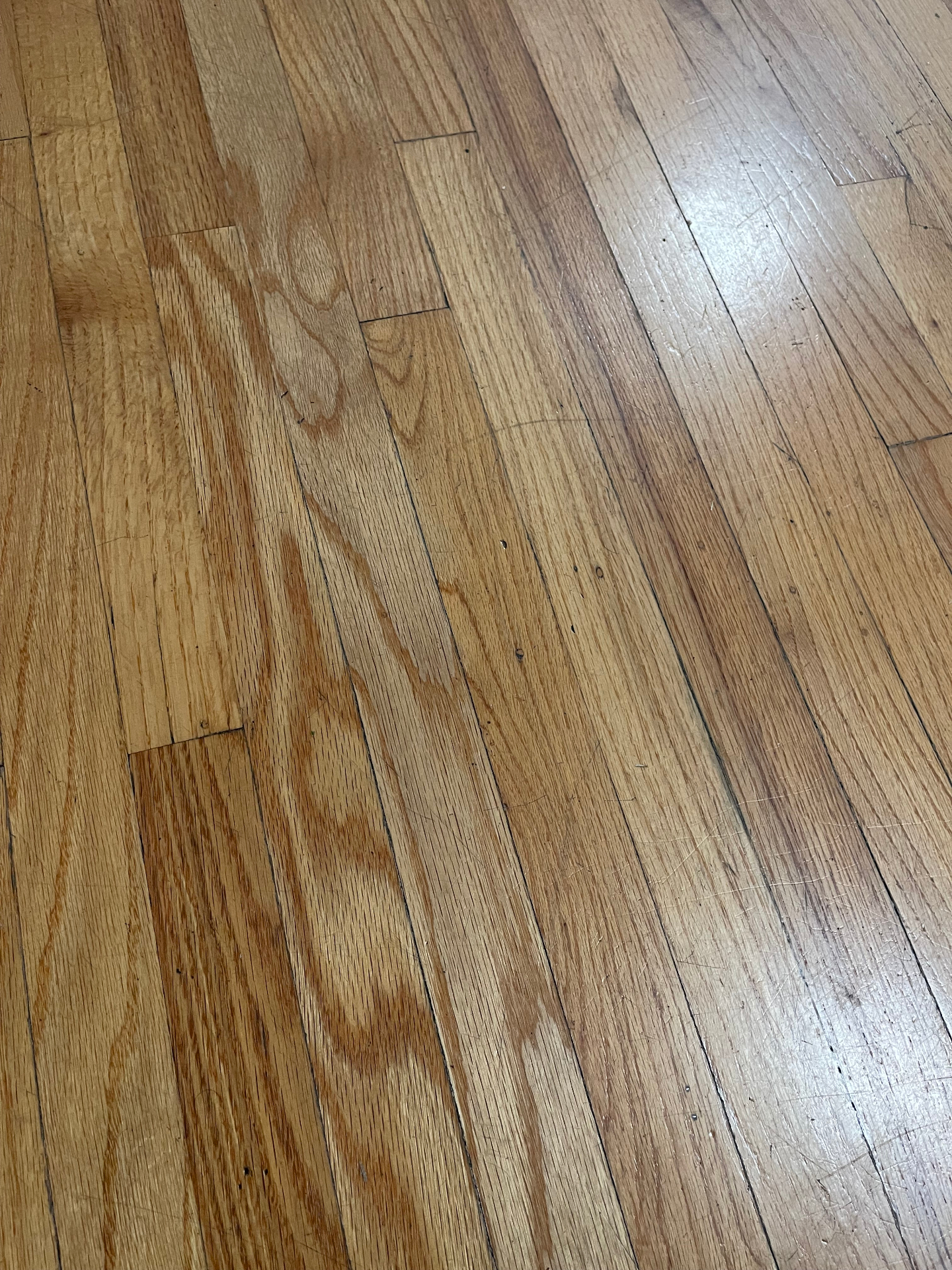 Hardwood Floor Cleaning