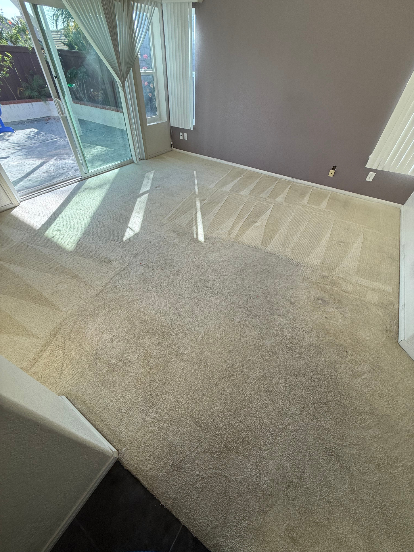 Carpet Cleaning