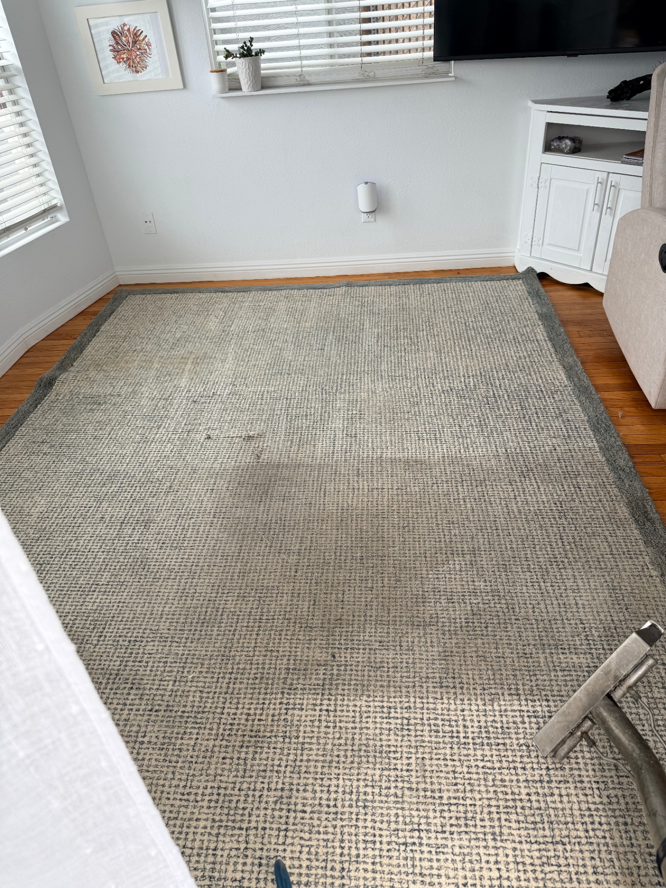Area Rug Cleaning